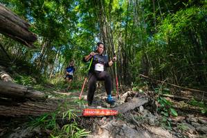 BIB: 
                            <button type="button" onclick="openModal(19388587)" class="btn btn-primary btn-sm float-right btn-popup" data-toggle="modal" data-target=".modal-high-quality">
                        <i class="fas fa-shopping-cart"></i> Add to Cart
                    </button>
                                            <button type="button" onclick="isThisMe(19388587, true)" class="btn btn-success btn-sm float-right btn-popup btn-isme hidden" data-toggle="tooltip" data-placement="bottom" title="นี่คือรูปของคุณใช่ไหม คลิกที่นี่เพื่อเอาเข้าอัลบั้ม">
                        <i class="fas fa-plus"></i> Add to album
                    </button>
                    <button type="button" onclick="isThisMe(19388587, false)" class="btn btn-warning btn-sm float-right btn-popup btn-isnotme hidden">
                        <i class="fas fa-ban"></i> Remove from album
                    </button>